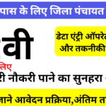 District Panchayat job vacancy 2024
